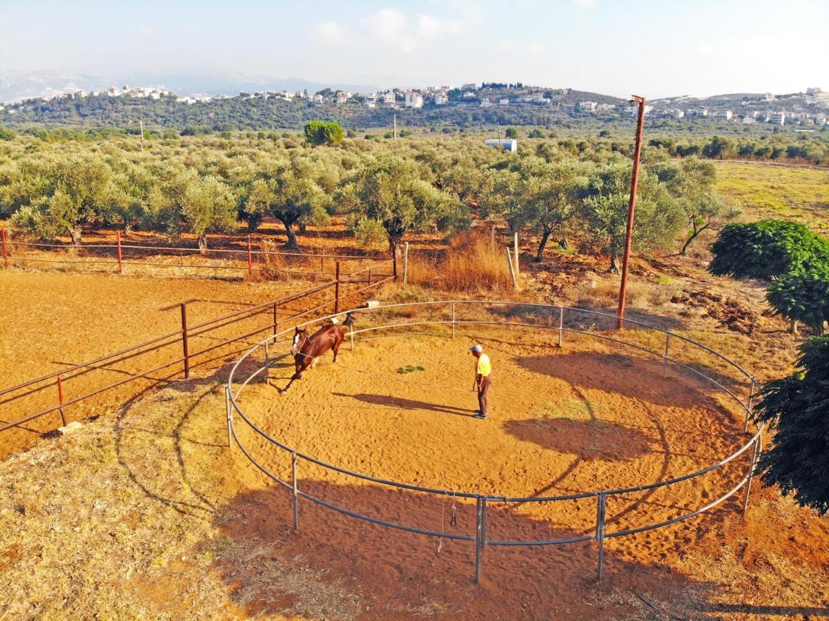 The Ranch Βίλα Kfar Hazir Εξωτερικό φωτογραφία