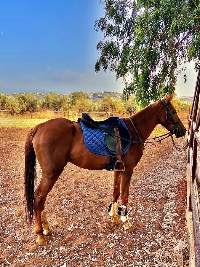 The Ranch Βίλα Kfar Hazir Εξωτερικό φωτογραφία