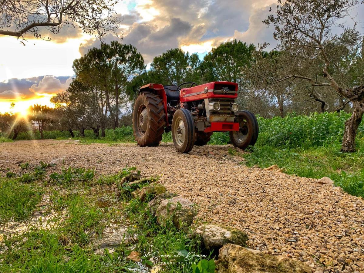 The Ranch Βίλα Kfar Hazir Εξωτερικό φωτογραφία