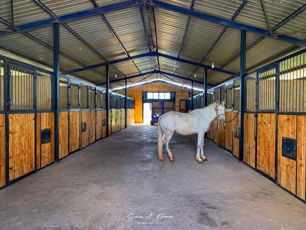 The Ranch Βίλα Kfar Hazir Εξωτερικό φωτογραφία