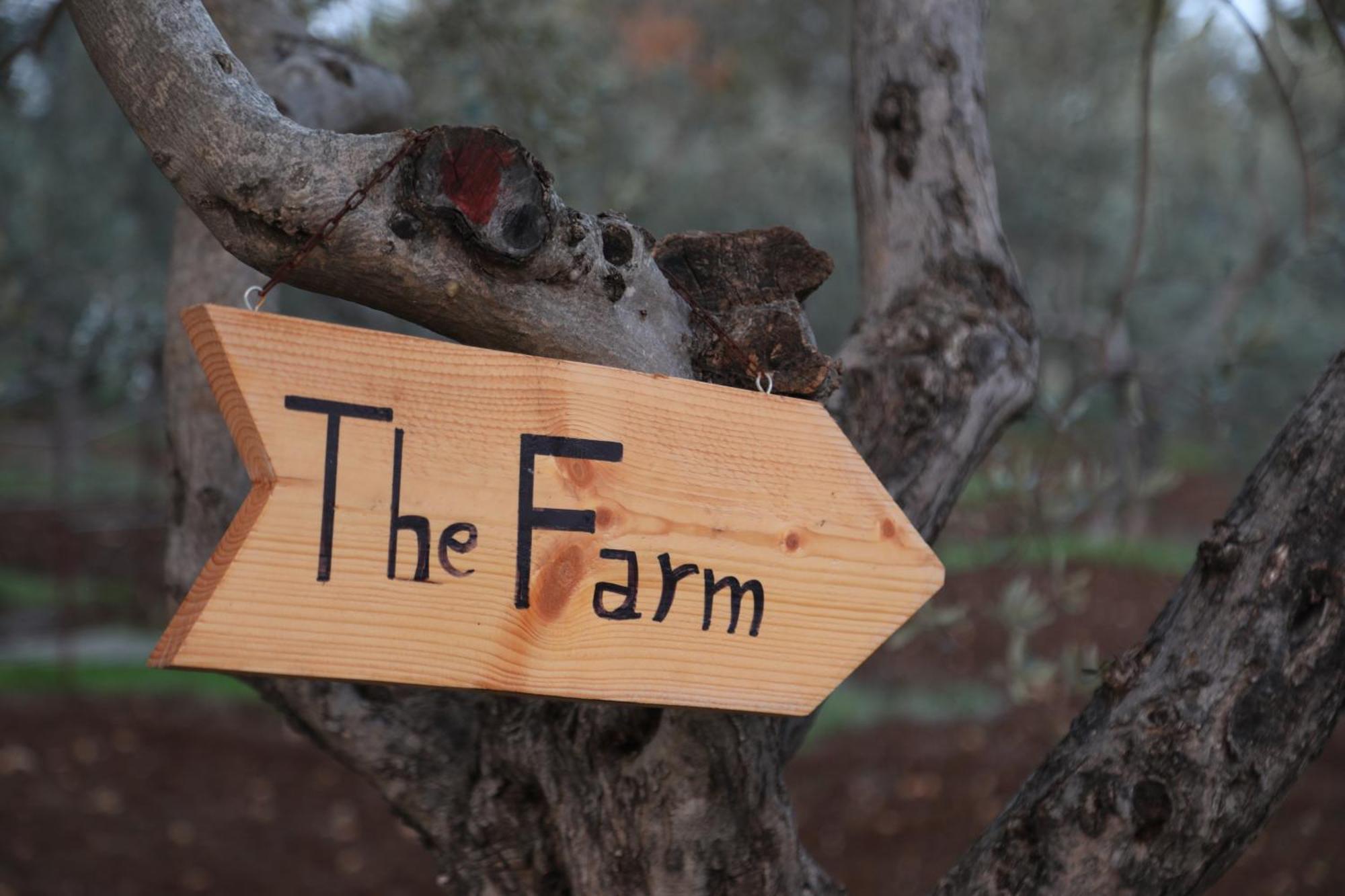 The Ranch Βίλα Kfar Hazir Εξωτερικό φωτογραφία